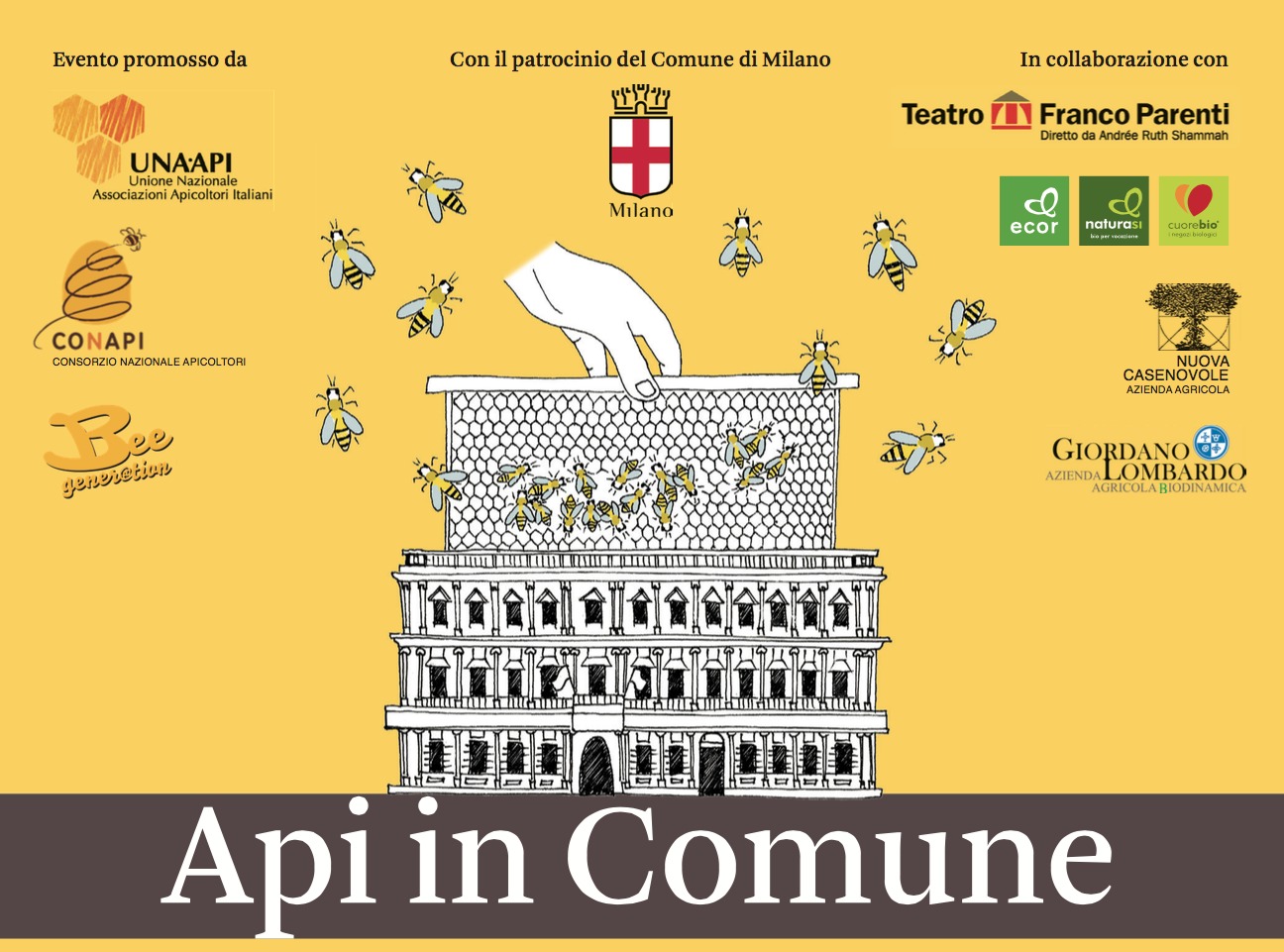 immagine promo api in comune