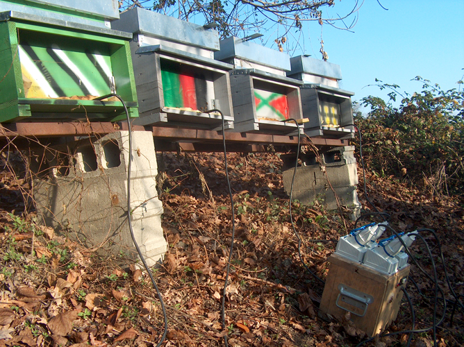 Collegare più Varrox ad un generatore di corrente risparmia sui tempi di esecuzione e preserva dalla noia dell'attesa foto 3