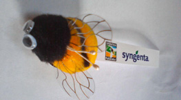 syngenta bee