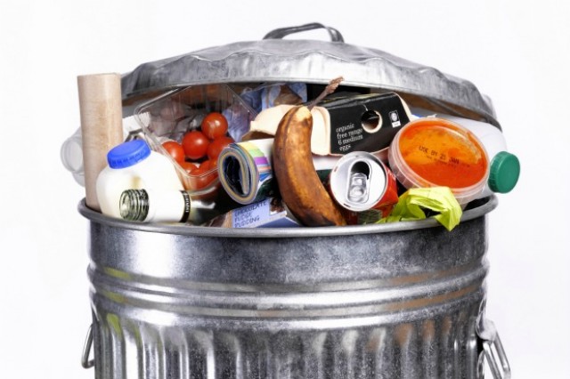 cibo dentro ad una patumiera metalica