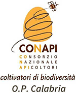 Conapi opcalabria