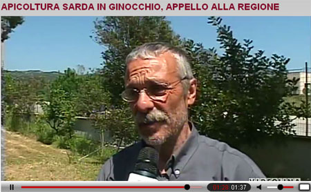 Apicoltore sardo nel servizio che videolina ha dedicato alla critica situazione dell'apicoltura sarda
