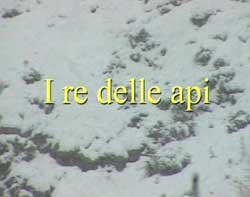 titolo I re delle api, scritto in giallo su fondo terra coperta di neve