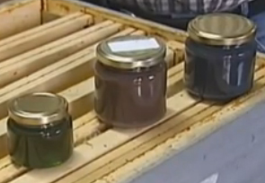 Miele di colore blu, verde e viola