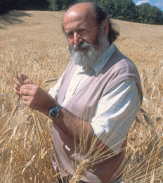 foto di girolomoni con del grano in mano