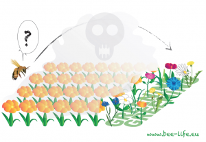 bandes fleuries 300x207