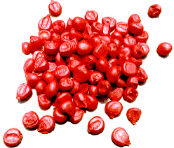 foto di mais trattato