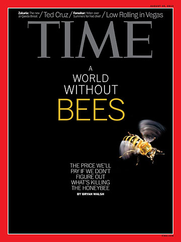 Copertina Time agosto 2013