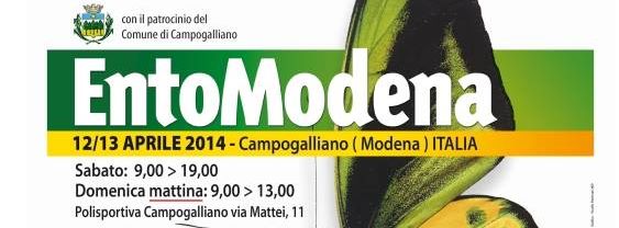 20140408 entomodena