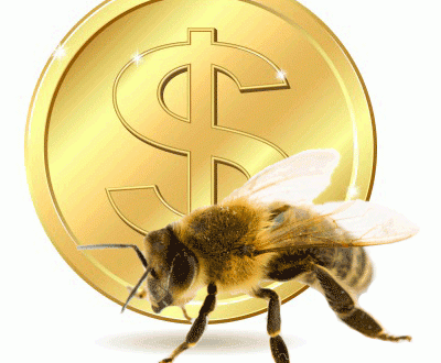 20140702 bee dollar