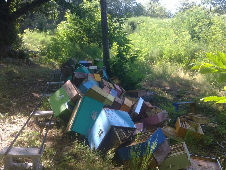 283739_2302564301460_258273117_n