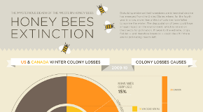 honeybees-thumbnail