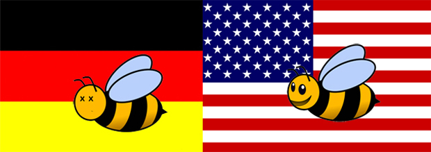 Ape confussa con dietro la bandiera della germania, afffianco ape contenta con bandiera degli USA
