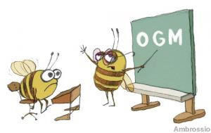 ape maestra che insegna a ape alievo molto stupita che non debbe andare sugli ogm