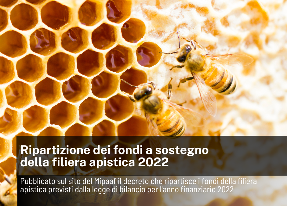 Ripartizione dei fondi a sostegno della filiera apistica 2022