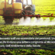 Nuovo Regolamento sull’uso sostenibile dei pesticidi (SUR): lettera a firma congiunta Unaapi, Conapi e BeeLife