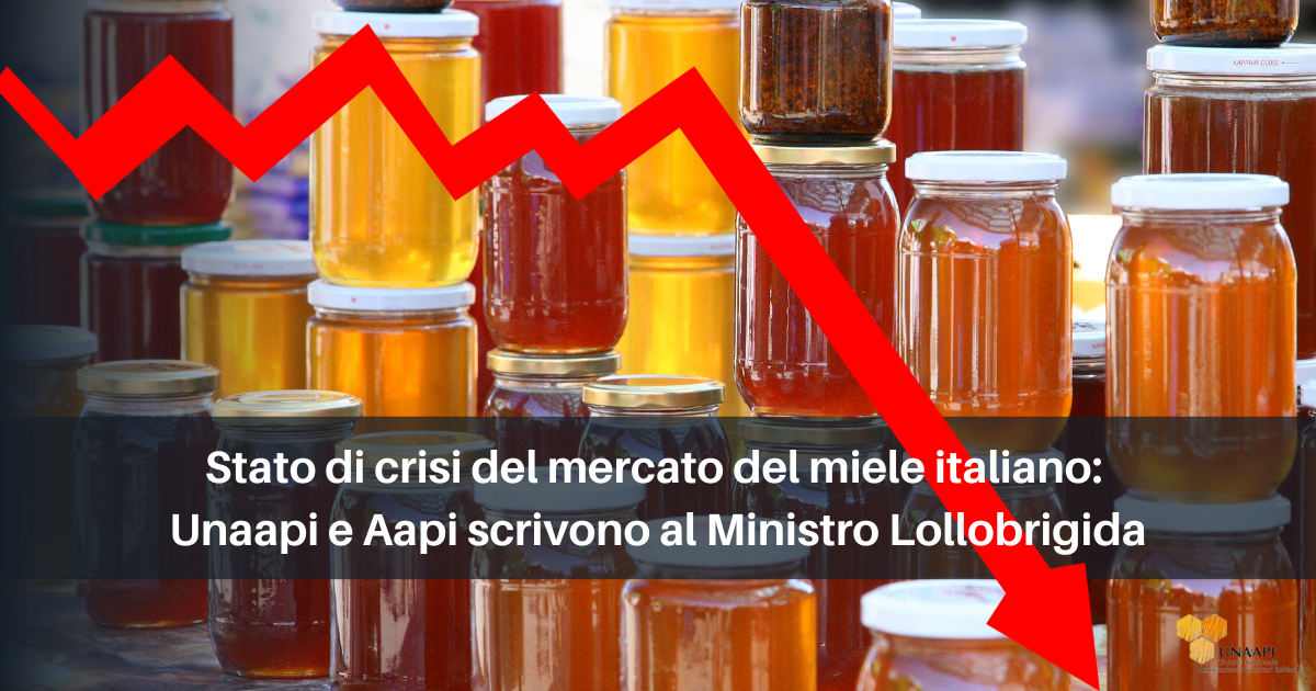 Crisi del mercato del miele italiano: Unaapi e Aapi scrivono al Ministro Lollobrigida