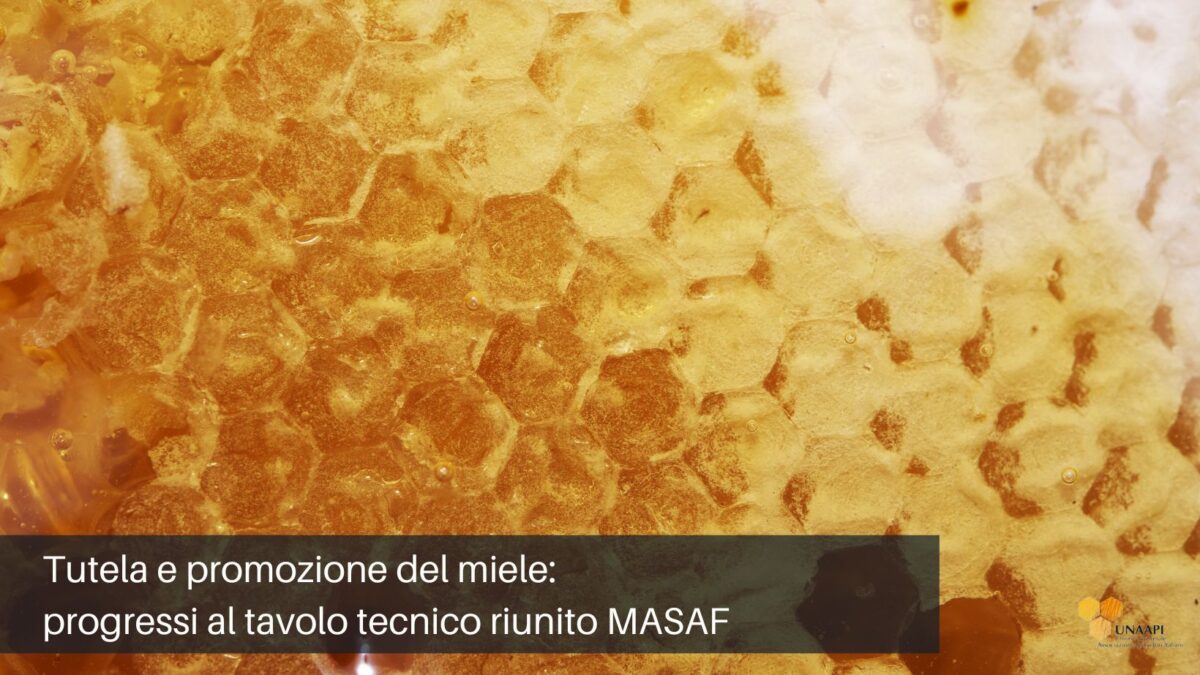 Tutela e promozione del miele: progressi al tavolo tecnico riunito MASAF