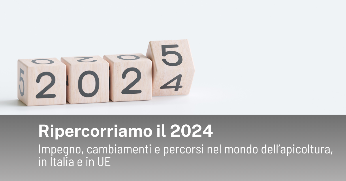 Ripercorriamo il 2024