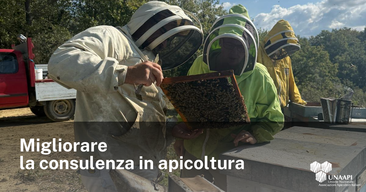 Migliorare la consulenza in apicoltura