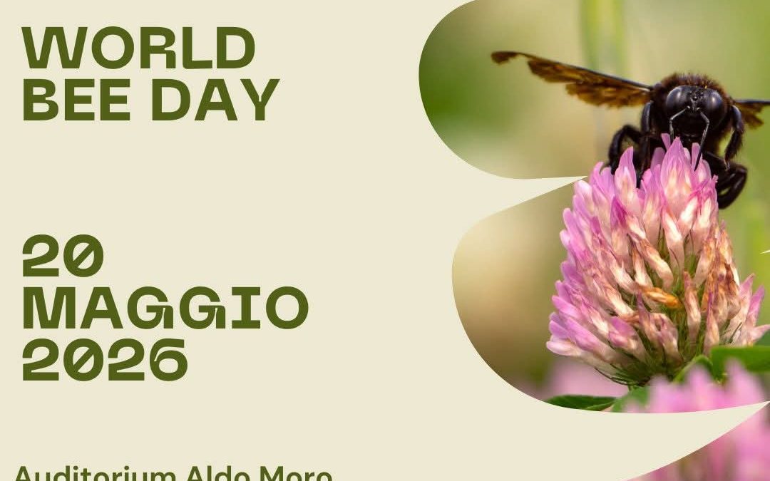 World Bee Day: api e impollinatori, un impegno comune